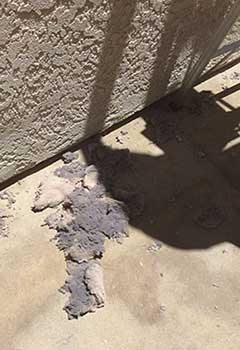 Cleaning For Dryer Vent Near Me, Laguna Niguel
