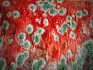 Air Ducts Allergens - Laguna Niguel CA Air Ducts Allergens In Laguna Niguel